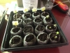 photo-17